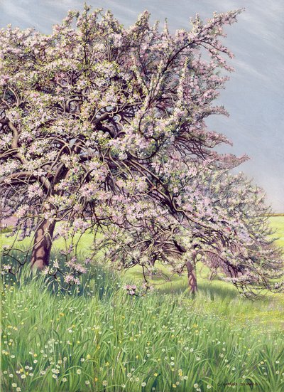 Pommiers Fleuris, 1912 by Carlos Schwabe